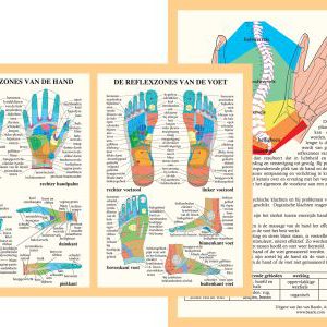 voetenkaart reflexologie